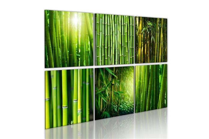 Kuva - Bamboo has many faces