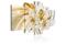 Kuva - Stellar Bouquet – kuva 3