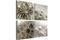 Kuva - Grey Dandelion – kuva 5