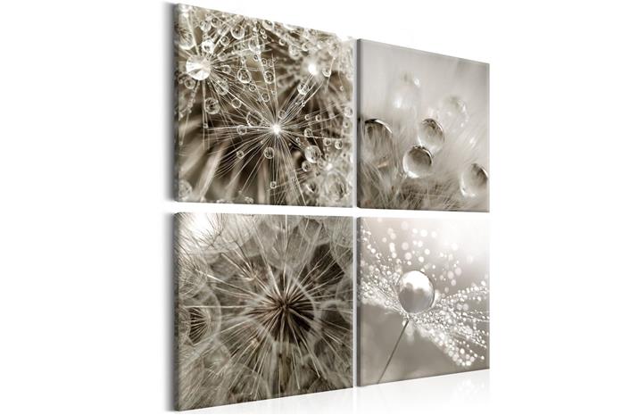 Kuva - Grey Dandelion – kuva 5/5