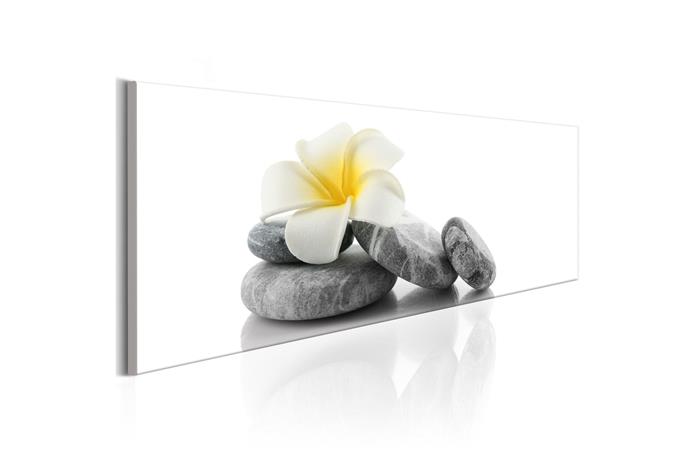 Kuva - White Lotus