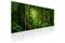 Kuva - Tropical Jungle – kuva 2