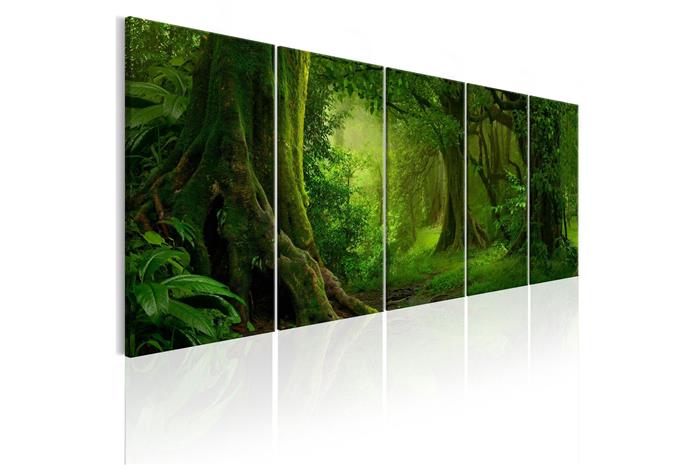 Kuva - Tropical Jungle – kuva 2/2