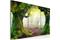 Kuva - Mysterious forest - triptych – kuva 3
