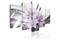 Kuva - Crystal Finesse – kuva 3