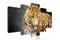 Kuva - Green-eyed leopard – kuva 2