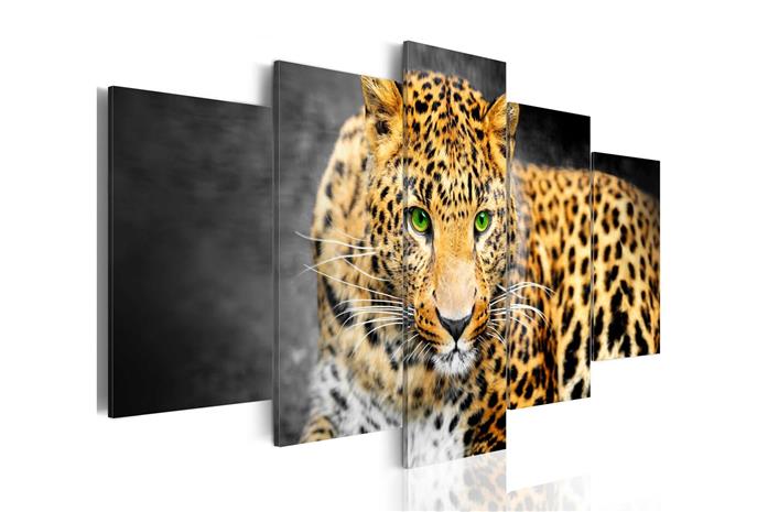 Kuva - Green-eyed leopard