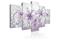 Kuva - Purple Graces – kuva 3