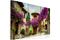 Kuva - Charming Alley – kuva 3