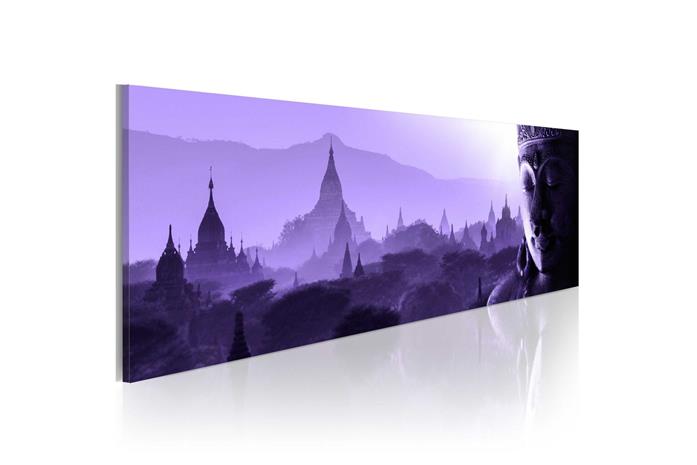 Kuva - Purple Zen