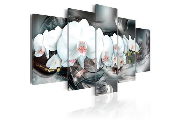 Kuva - Magical Orchid