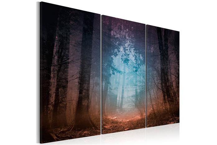 Kuva - Edge of the forest - triptych