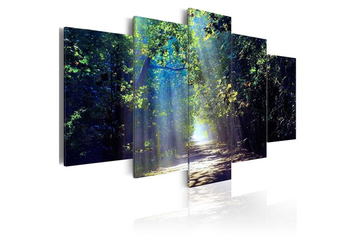 Kuva - Sunny Forest Path