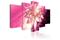 Kuva - Pink Heaven – kuva 3