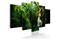 Kuva - Lost in greenery – kuva 3