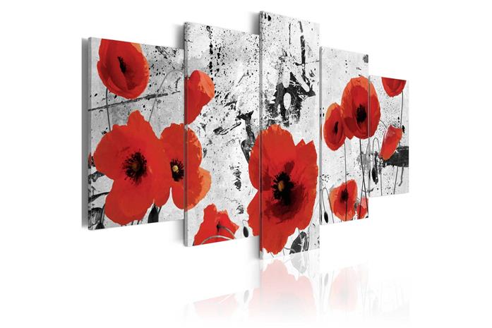 Kuva - Scarlet flowers