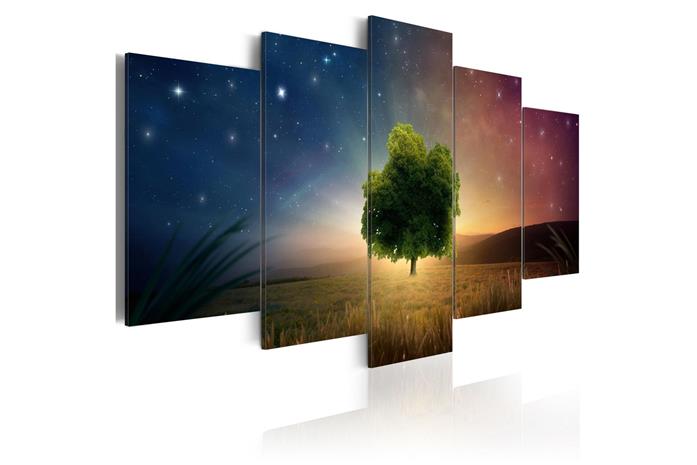 Kuva - Starry Nights – kuva 3/3