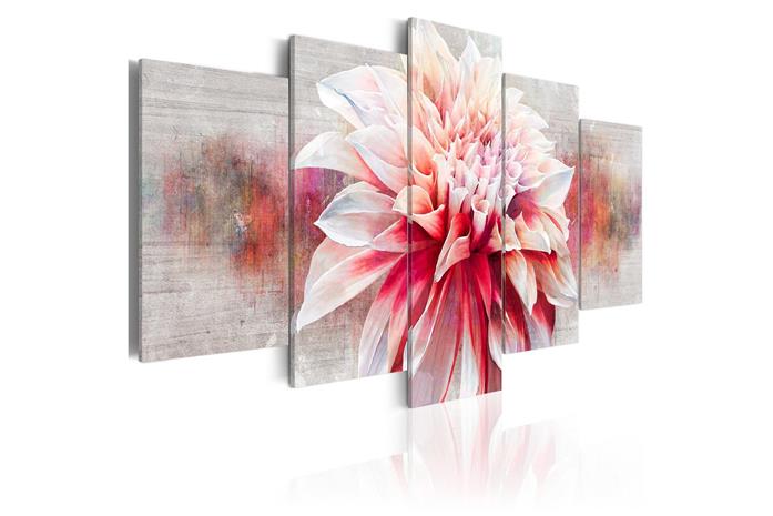 Kuva - Flower of Elegance