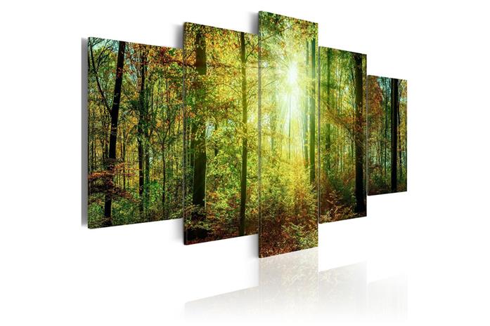 Kuva - Wild Forest – kuva 3/4