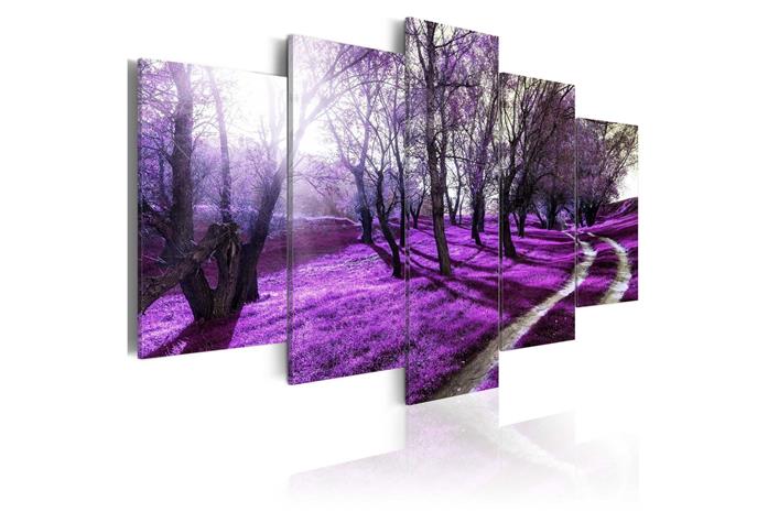 Kuva - Lavender orchard – kuva 4/4