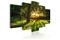 Kuva - The forest reflection – kuva 4