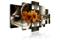 Kuva - Hippeastrum and Abstract Waves – kuva 3