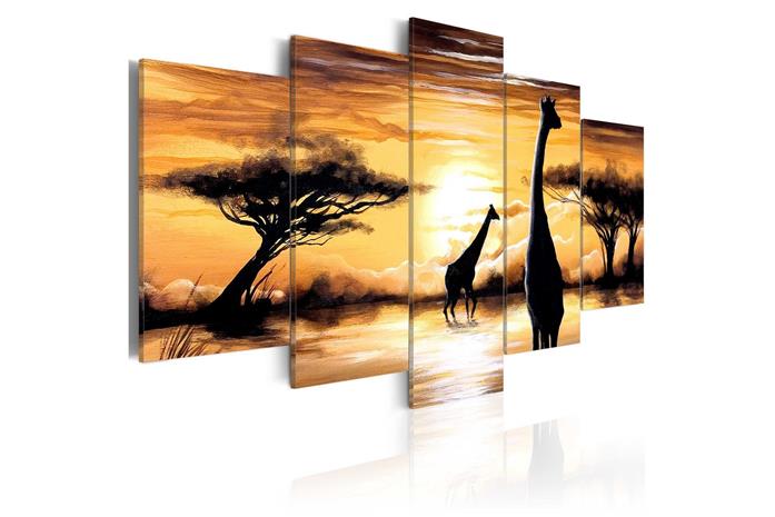 Kuva - Wild Africa