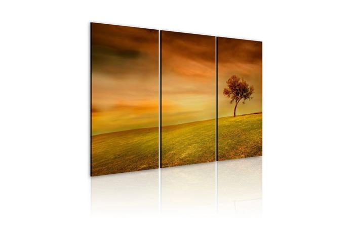 Kuva - A lonely tree on a meadow