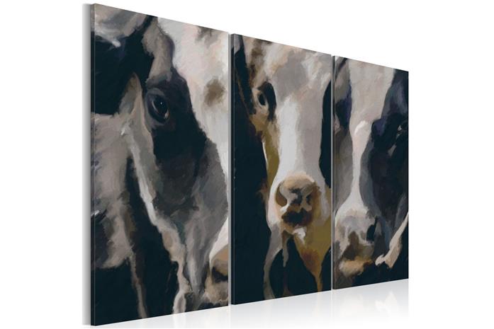 Kuva - Piebald cow