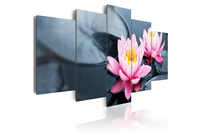 Kuva - Waterlily dream