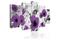 Kuva - Purple dissonance – kuva 2