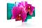 Kuva - Exotic orchids – kuva 3
