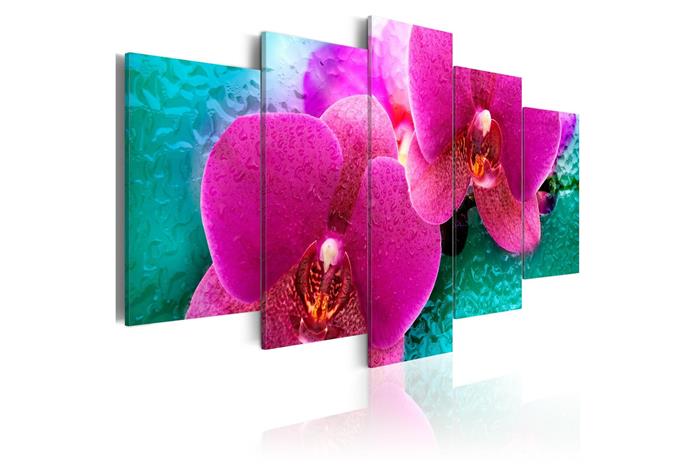 Kuva - Exotic orchids