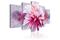 Kuva - Violet Dahlia – kuva 2