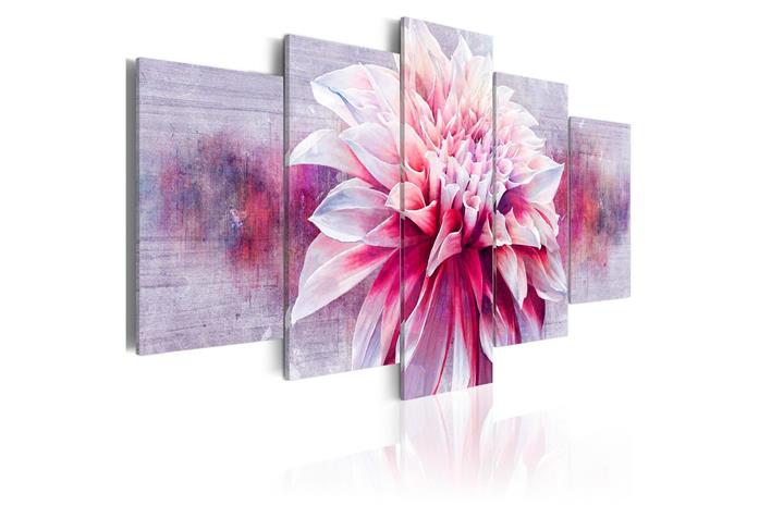 Kuva - Violet Dahlia