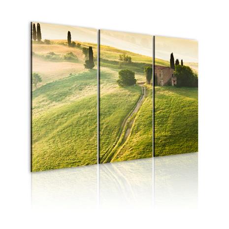 Kuva - Under the Tuscan Sun