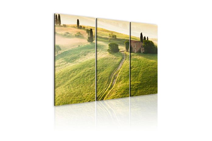 Kuva - Under the Tuscan Sun