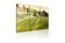 Kuva - Under the Tuscan Sun – kuva 6