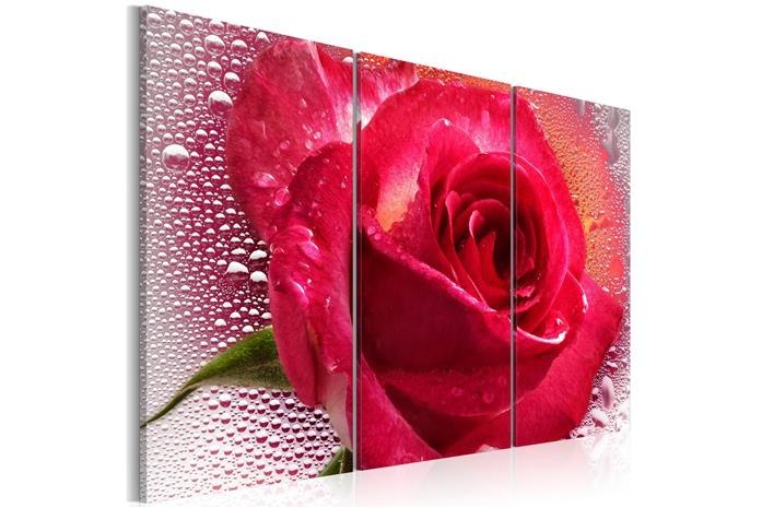 Kuva - Lady Rose - triptych