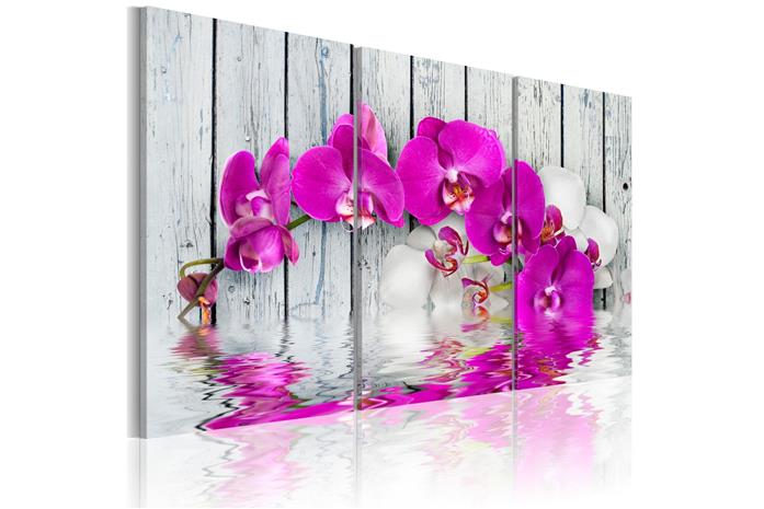 Kuva - harmony: orchid - Triptych
