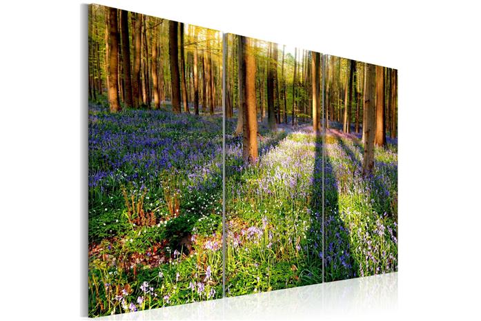 Kuva - Spring Forest