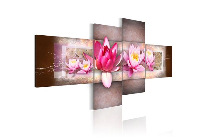 Kuva - Delicate water lilies