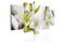 Kuva - Royal Flower – kuva 3