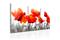 Kuva - Charming Poppies – kuva 2