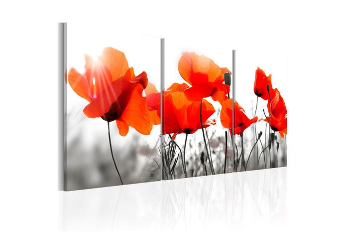 Kuva - Charming Poppies – kuva 2/2
