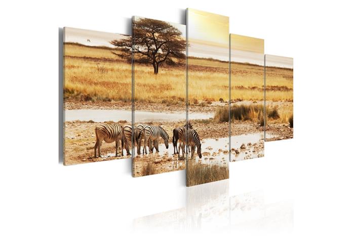 Kuva - Zebras on a savannah