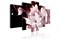 Kuva - Flower Muse – kuva 3