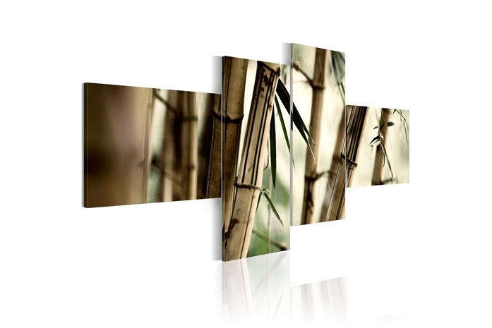 Kuva - Bamboo inspiration
