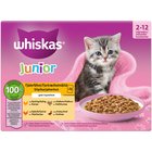 Whiskas Junior Pure Delight 12 x 85 g Siipikarjaa hyytelössä kissanpennun märkäruoka
