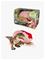 Primal Hatch - Jurassic World T Rex 2.0 (6076597) – kuva 4